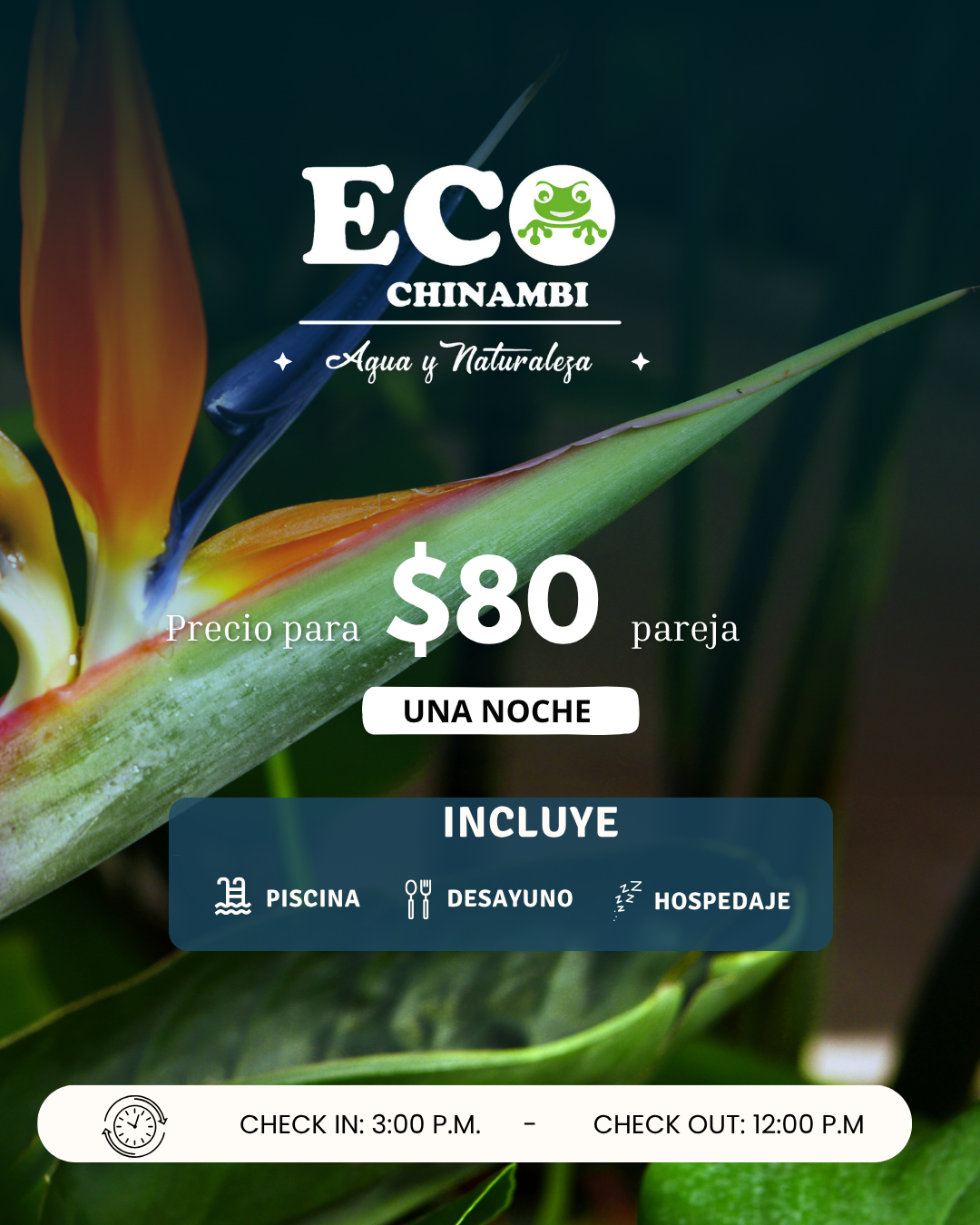 Post de Instagram Anuncio Hotel Ecológico Moderno Azul